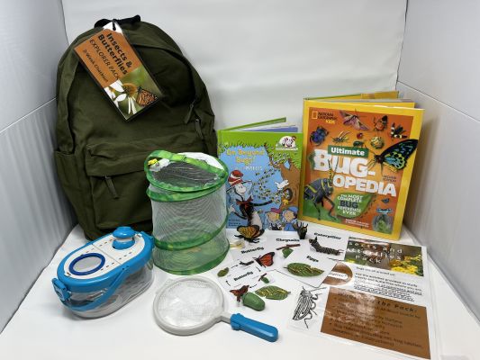 "Insects and butterflies pack with books and butterfly net"
